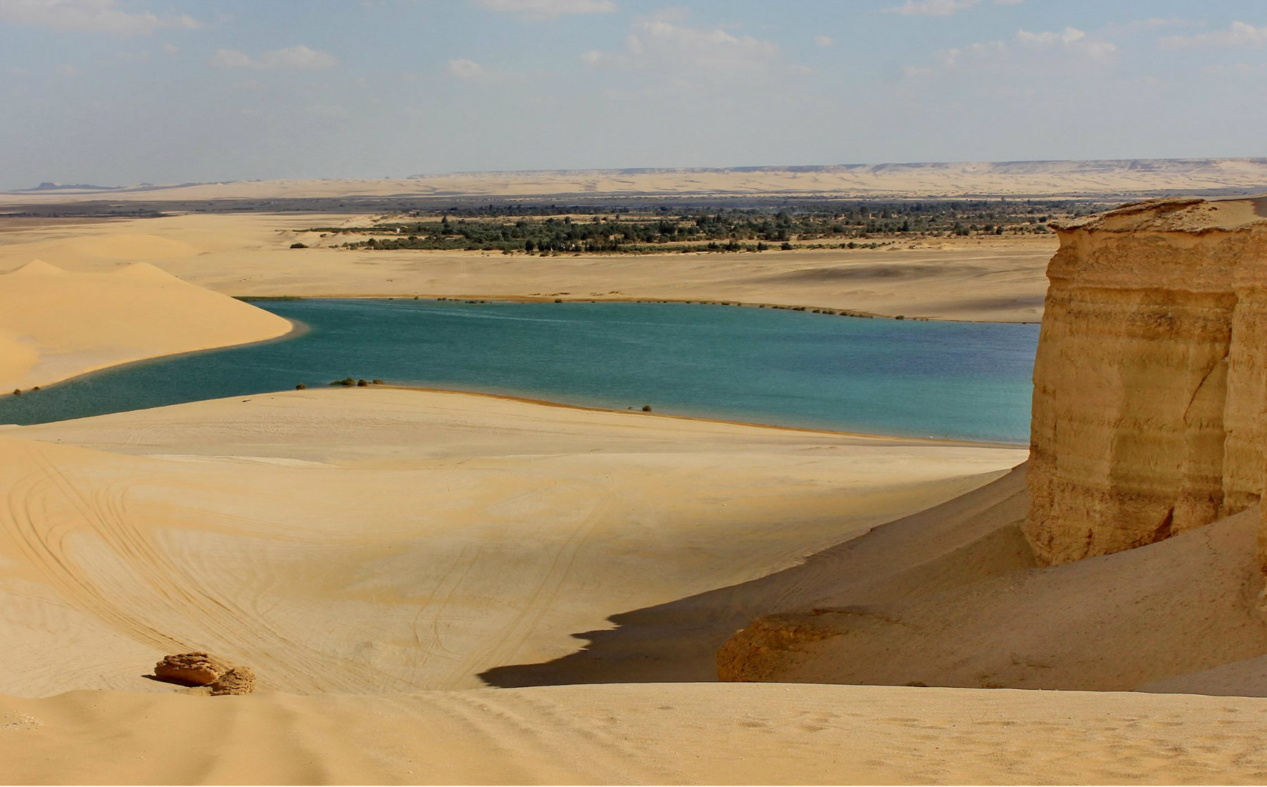 Qarun Lake and Fayoum Oasis Day Trip