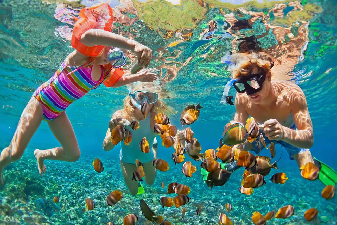 Giftun Island Snorkeling Trip