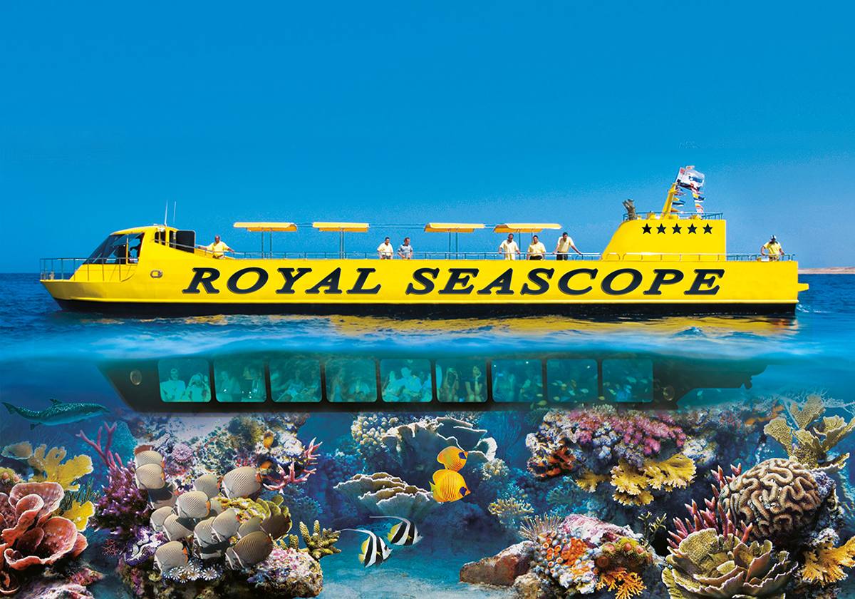 Submarine Tour and Coral Reef Exploration