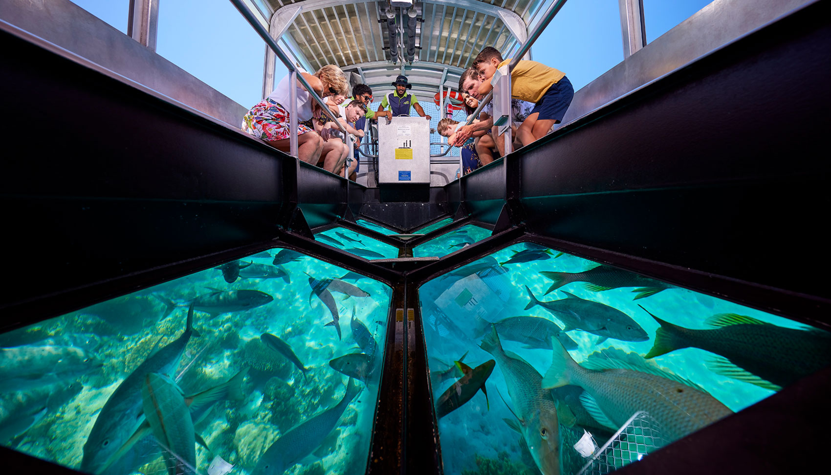 Glass Bottom Boat Trip