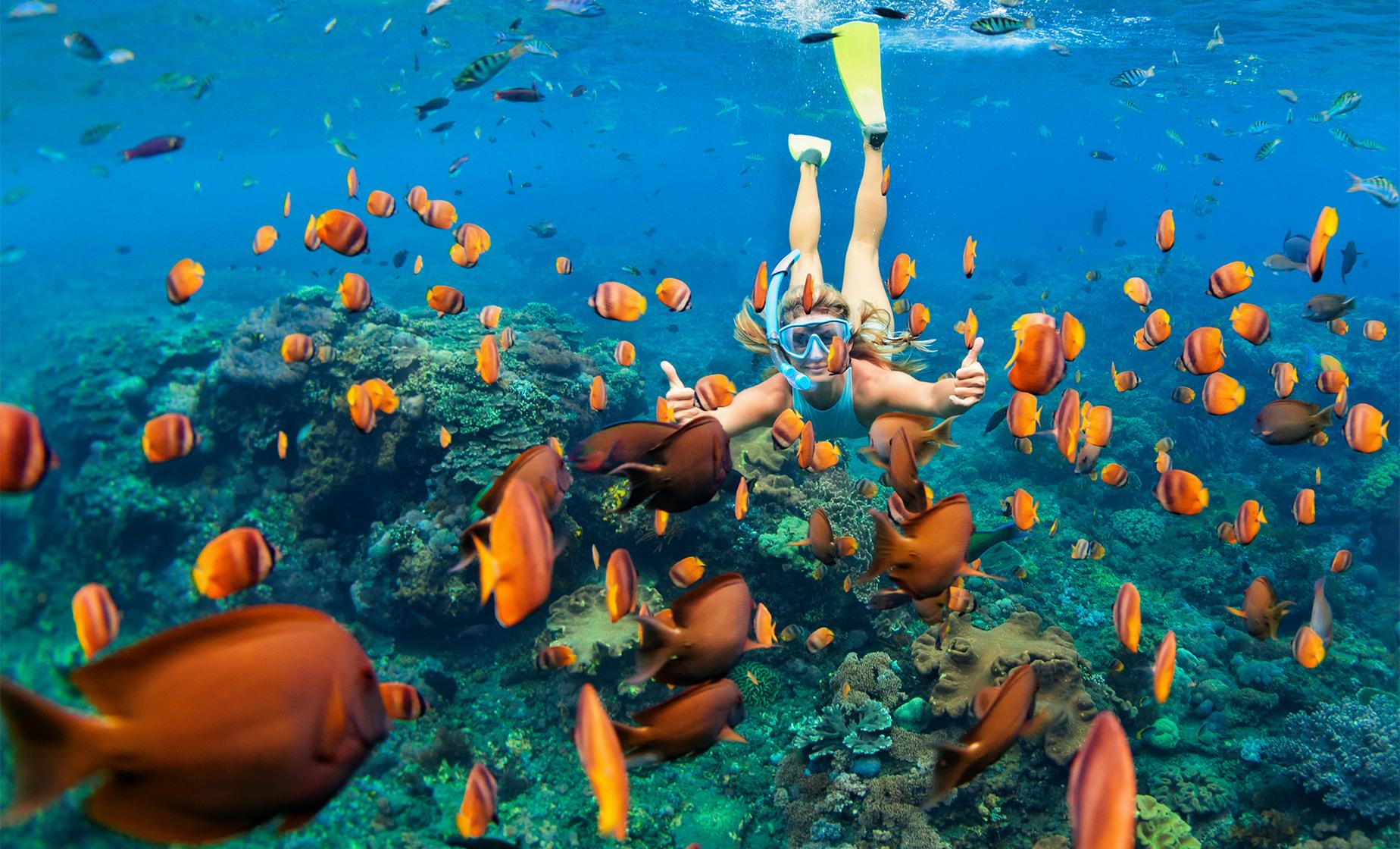 Ras Mohammed National Park Snorkeling Trip