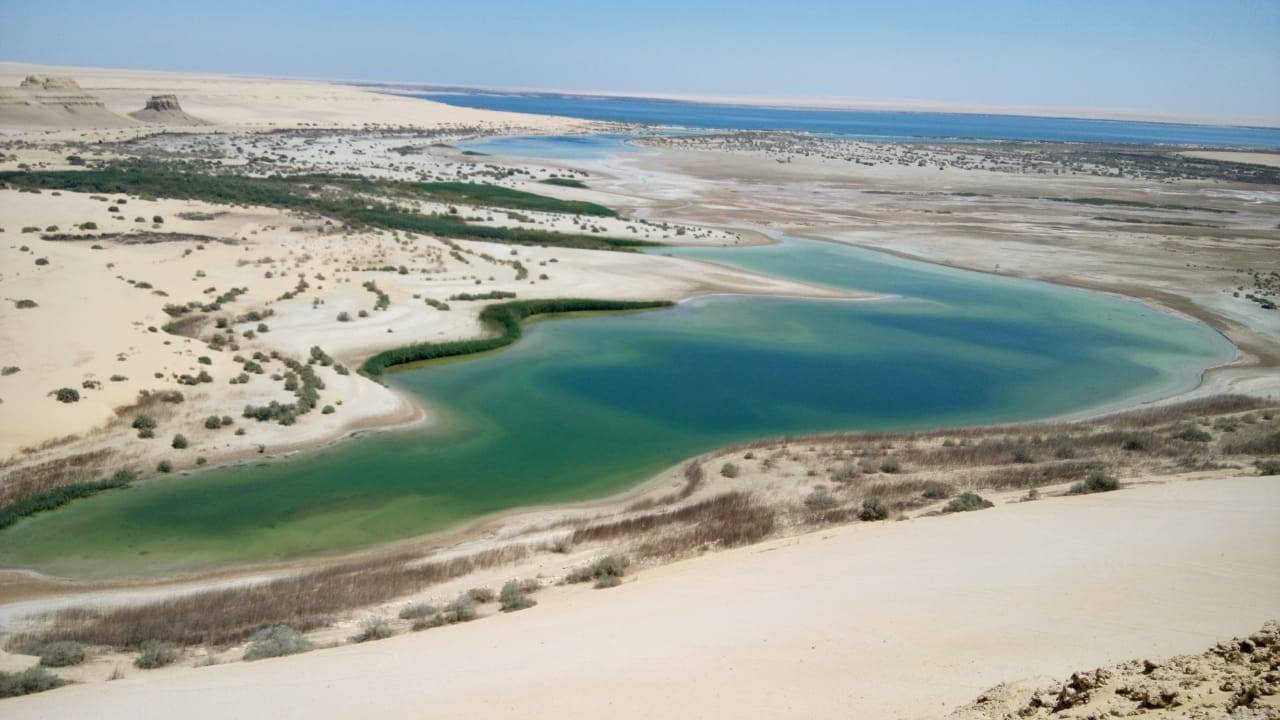 Wadi Al-Hitan (Valley of Whales) Adventure